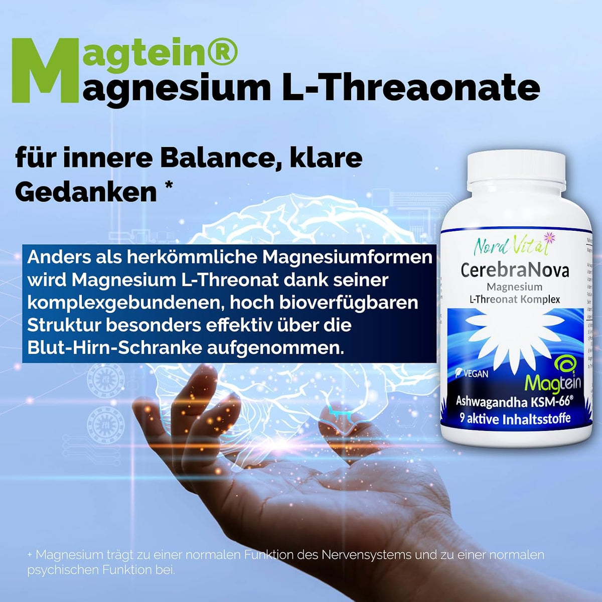 Nord Vital CerebraNova Magnesium-L-Threonat Komplex – Produktinformation zu Magnesium-L-Threonat mit Dose